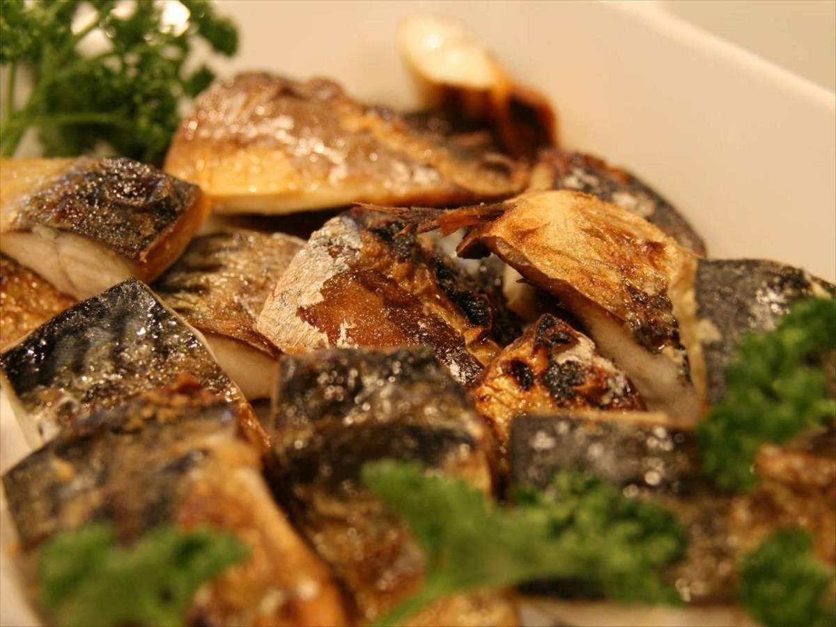 大阪伊丹机场格林瑞奇酒店 池田 外观 照片