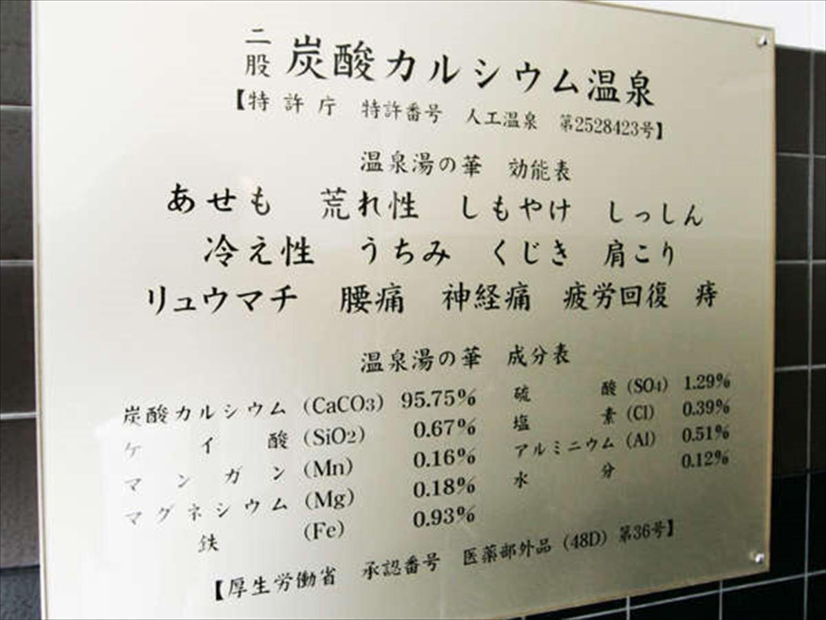 大阪伊丹机场格林瑞奇酒店 池田 外观 照片